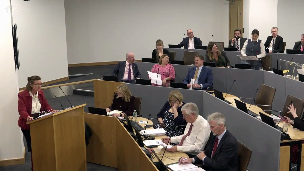 Wales’ high streets ‘competing with one hand tied’, warns Jane Dodds MS