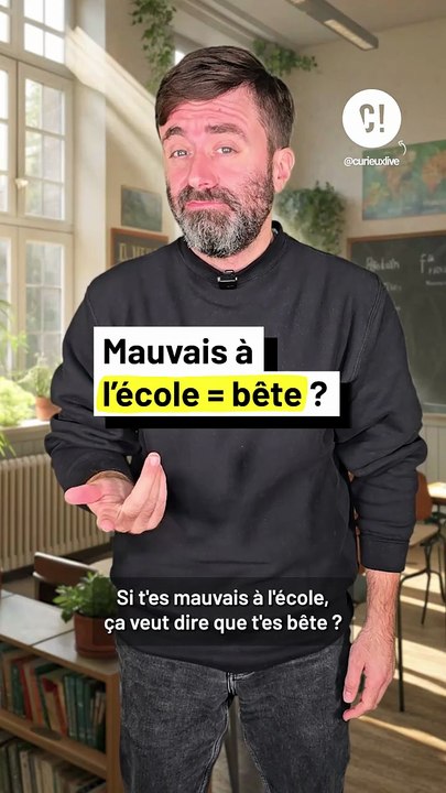 Tu es bête parce que tu as que des mauvaises notes ?