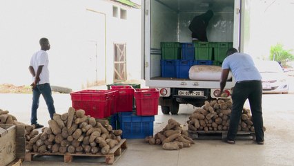 New US tariffs deal blow to Ghanaian exporters