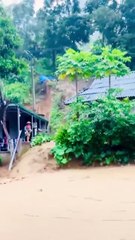 Severe Flooding in Trung Hạ, Thanh Hoá Leaves 30 Dead and Dozens Displaced
