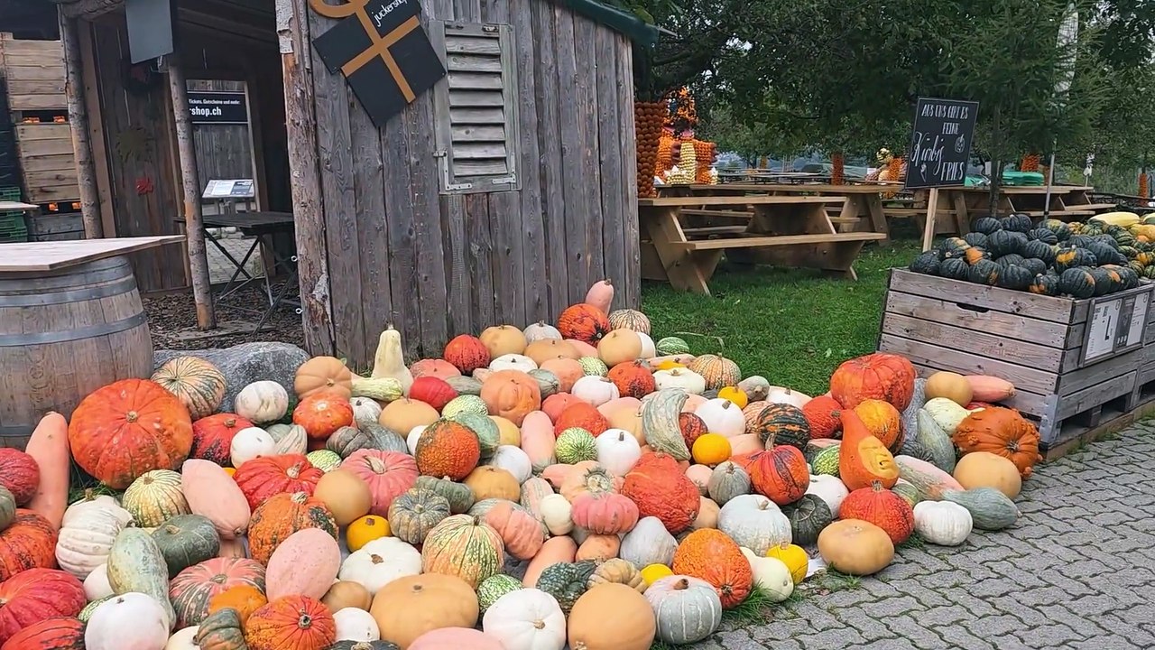 Gossau ZH Spezial: Reise in die Gemeinde Gossau