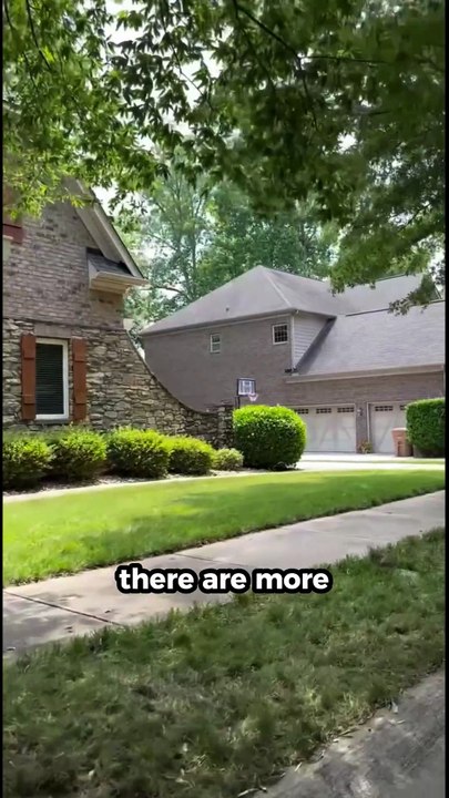 5 weird facts about the world #facts #shorts #viral #weirdfacts #china #japan #korea