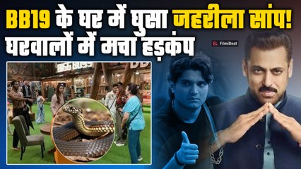 Bigg Boss 19 घर में दिखा जहरीला सांप, घरवालों की चीखें गूंज उठीं, Contestants  में मची अफरा-तफरी