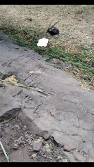 Do you think the same?