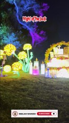 Nights of the Jack 2025 – Must See Halloween Experience