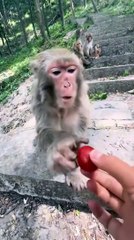 He regretted helping her!!