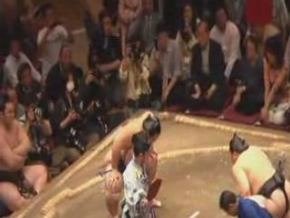 20 Mai '08 - Natsu basho - J10 - Asashôryû - Kotoshôgiku