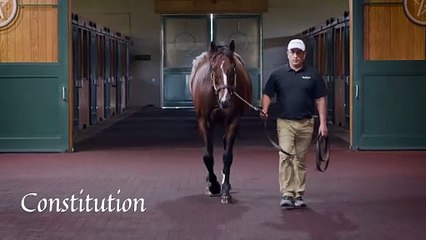 Rebel's Romance Fastest Horse of the Week with 106 Beyer