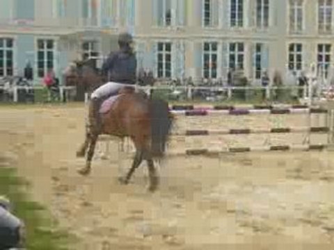 Concours du 18 mai 2008 fauvettes momo et kiki barrage