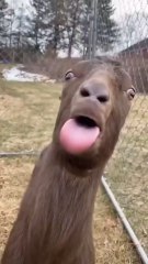 Fanny Video #Fanny #fanny #fanny #fanny #fanny #fanny #fanny #fanny #fanny #fanny #fanny