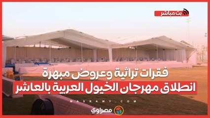 فقرات تراثية وعروض مبهرة.. انطلاق مهرجان الخيول العربية بالعاشر
