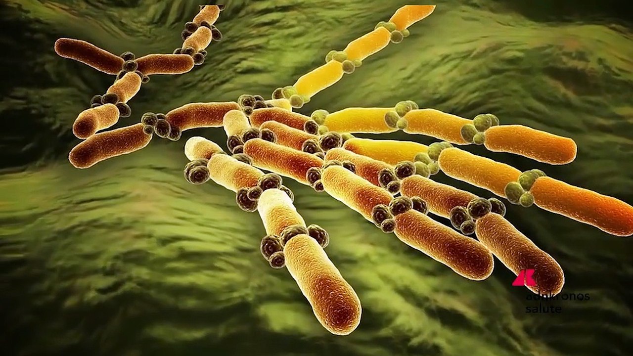 Salute: a Milano l’incontro sulle infezioni fungine invasive, tra sfide e nuove opportunità terapeutiche