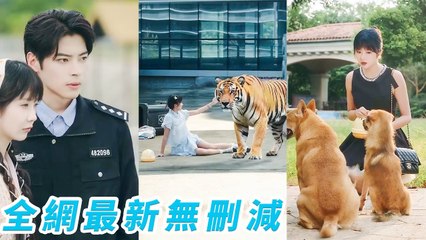Kicked out, fallen heiress hears animals. Life turns around, wins true love, becomes darling of all