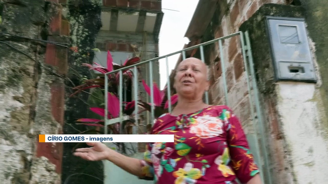 Praga de Abelhas em Chã de Mangabeira: Moradores Pedem Ajuda Após Dois Anos de Ataques e Inércia dos Órgãos Responsáveis
