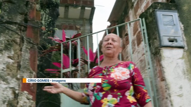 Praga de Abelhas em Chã de Mangabeira: Moradores Pedem Ajuda Após Dois Anos de Ataques e Inércia dos Órgãos Responsáveis