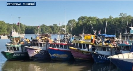 Pescadores artesanales de Chiriquí piden reunión urgente con ARAP por multas y restricciones