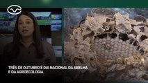 3 de outubro é dia nacional da abelha e da agroecologia