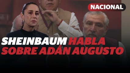 Sheinbaum evita definir permanencia de Adán Augusto en Morena | Reporte Indigo