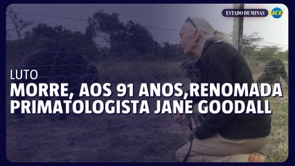 Morre, aos 91 anos, a renomada primatologista Jane Goodall