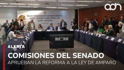 🚨¡Última Hora! Comisiones del Senado aprueban reforma a la Ley de Amparo