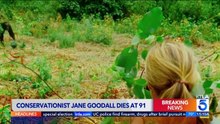 Jane Goodall, legendary chimp expert, dead at 91
