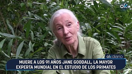 Muere a los 91 años Jane Goodall, la mayor experta mundial en el estudio de los primates