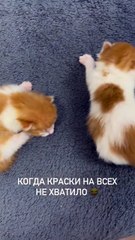 Когда не хватило краски ))