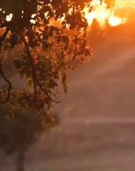 مسلسل نهضة أورهان الحلقة الأولى