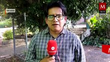 En Michoacán, se planea la justificación de ausencias por los dolores menstruales