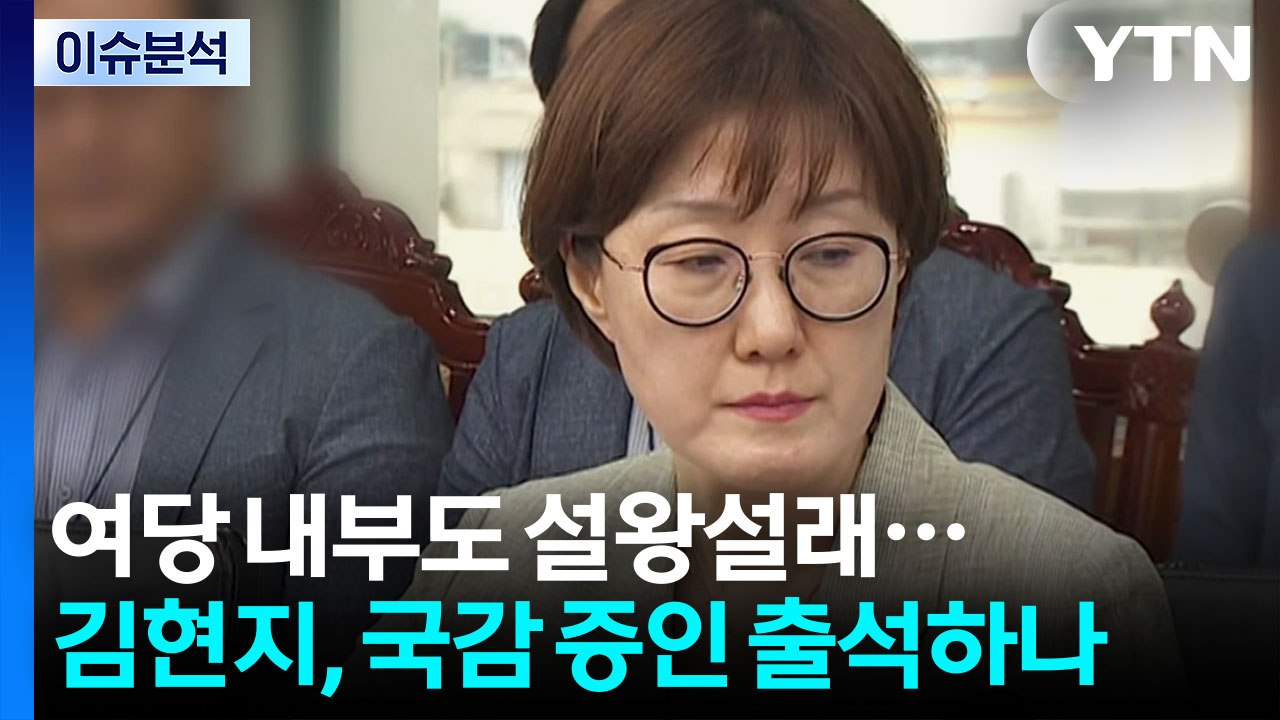 [뉴스UP] 여당 내부도 설왕설래...김현지, 국감 증인 출석하나? / YTN