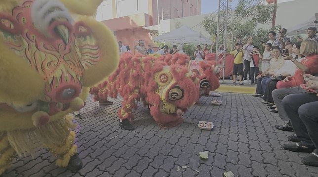 Comunidad china en República Dominicana celebra el Festival de Medio Otoño