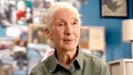 Remembering Jane Goodall — A Legacy of Hope