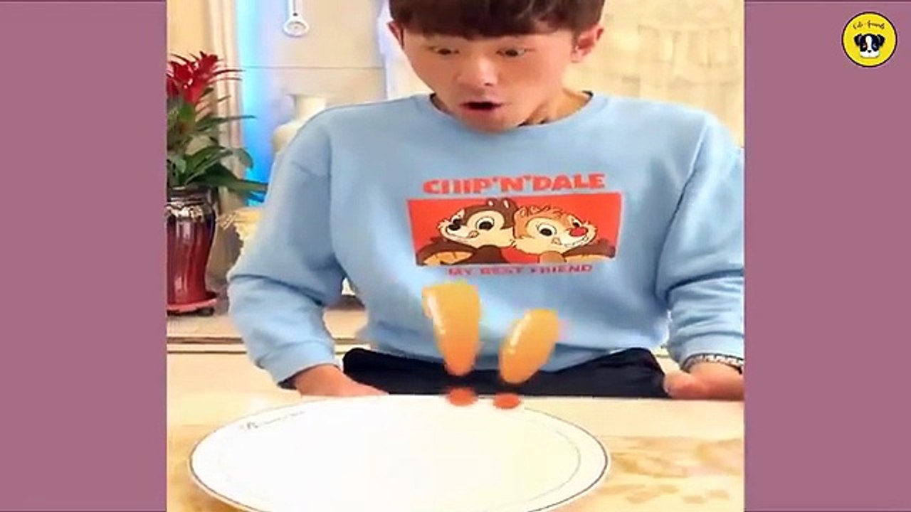 Funny Animals Compilation 2025 Best Funny Pet Videos and Crazy Animal Reactions Try Not to Laugh