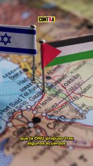 LA REALIDAD EN PALESTINA