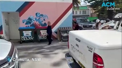 E-bikes at Cronulla have been described by a councillor as 'like a plague of ants'