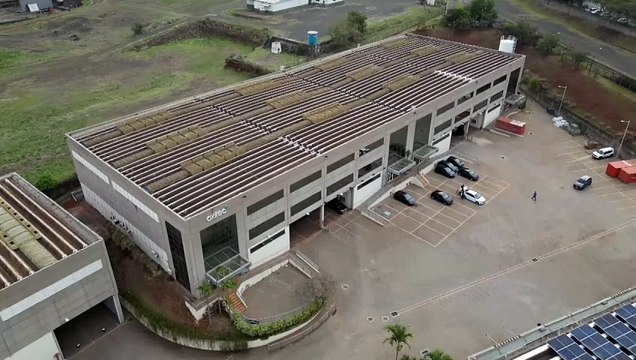 Abre en Brasil la mayor fábrica del mundo de mosquitos para combatir el dengue