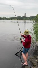 Con này khoảng bao nhiêu kg   Tien Sy Official #fishing