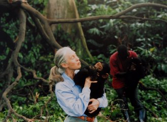 Jane Goodall, una sapiens en la que confiar. Entrevista a Federico Bogdanowicz, director del Instituto Jane Goodall en España y Senegal