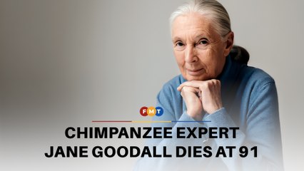World-renowned chimpanzee expert Jane Goodall dies at 91