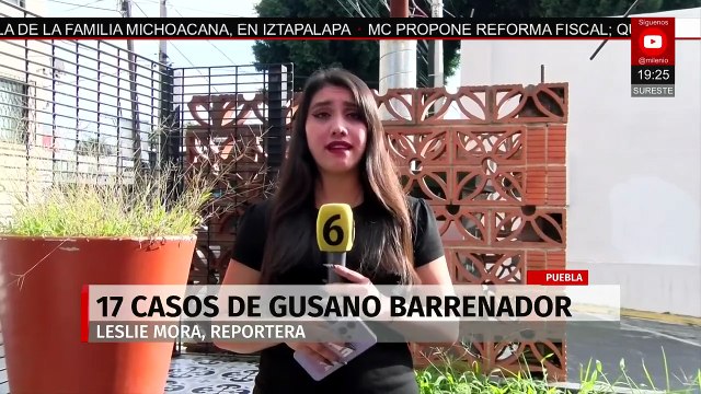 En Puebla, se confirman 17 casos activos de gusano barrenador en ganado