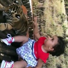 بالفيديو: شاهدي ماذا فعل الأسد بجوار ابنة دنيا بطمة؟