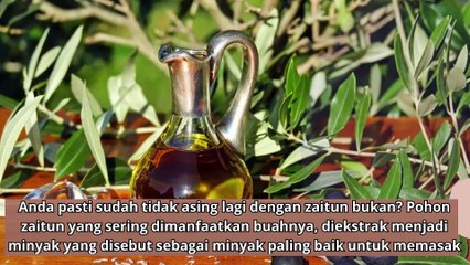 Beragam Manfaat Ekstrak Daun Zaitun untuk Kesehatan yang jarang kita sadari