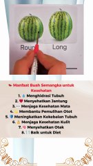 🍉 Manfaat Buah Semangka untuk Kesehatan