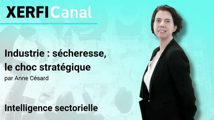 Industrie : sécheresse, le choc stratégique [Anne Césard]