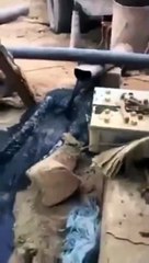 بالفيديو :مواطن يكتشف خروج النفط من بئر مزرعته في مدينة حائل !