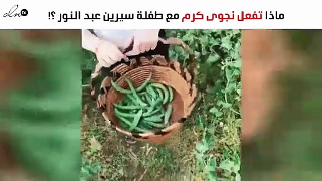 بالفيديو.. ما فعلته نجوى كرم مع طفلة سيرين عبد النور الأمر فاجأ الجميع