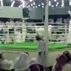مزاد لبيع الماعز بالكويت يثير جدلاً كبيراً بعد بيع ماعز بـ75 الف ريال