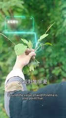 [Hot 2025🔥] Out Of Jail Heiress Unleashed Full Movie