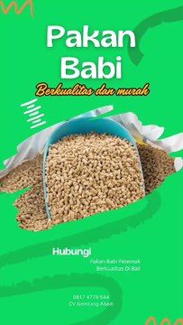 Jual Pakan Babi Penebel Tabanan, Call. 0817 4778 544, TERBUKTI…!!