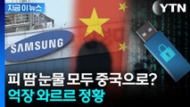 최신 기술 중국으로 넘어갔나...삼성디스플레이 '발칵' [지금이뉴스]  / YTN